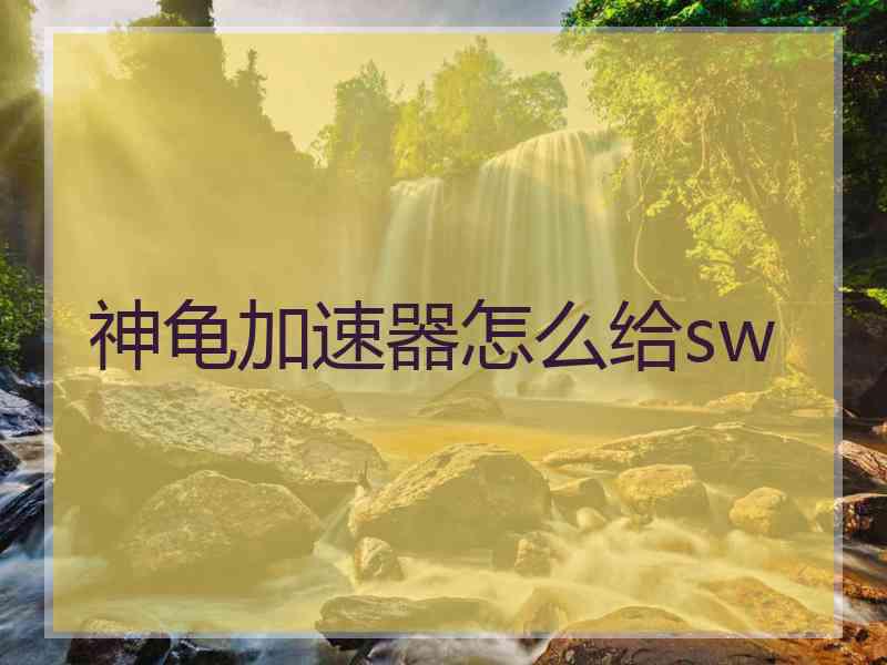 神龟加速器怎么给sw