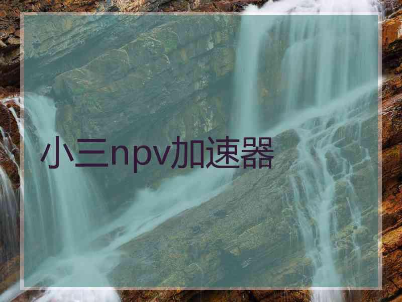 小三npv加速器