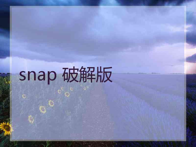 snap 破解版