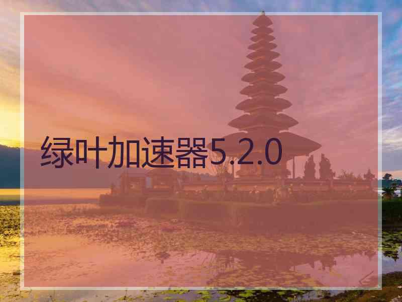 绿叶加速器5.2.0