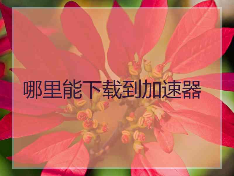 哪里能下载到加速器