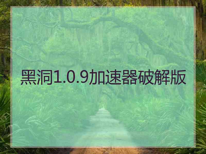 黑洞1.0.9加速器破解版