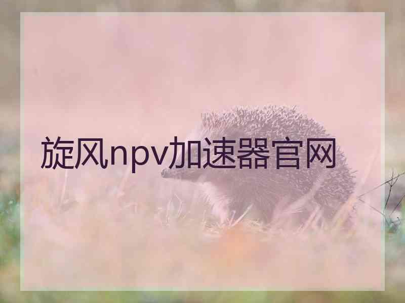 旋风npv加速器官网