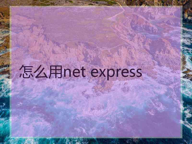 怎么用net express