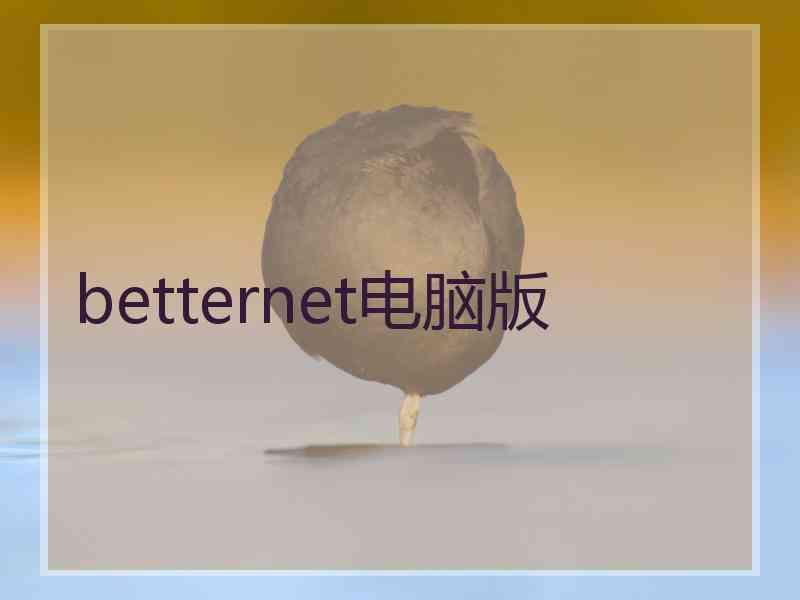 betternet电脑版