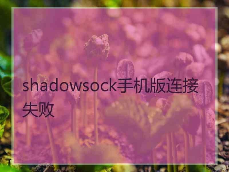 shadowsock手机版连接失败