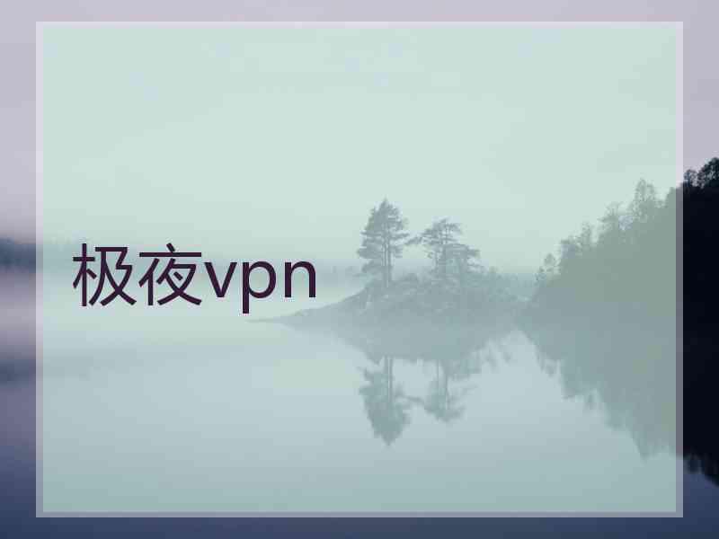 极夜vpn