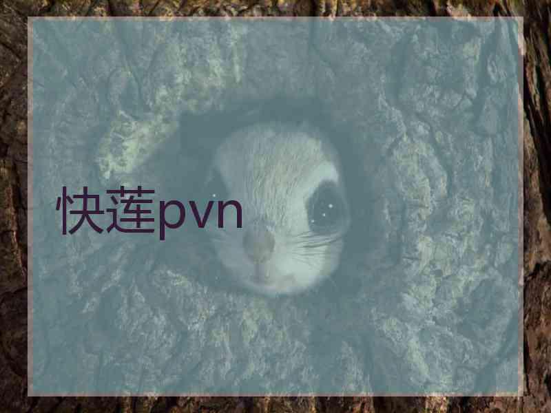 快莲pvn