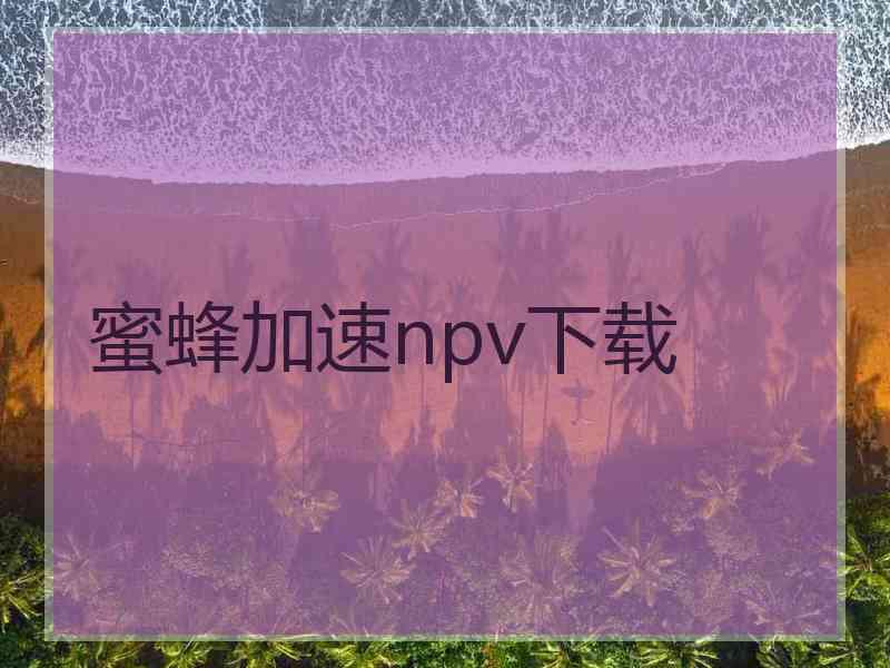 蜜蜂加速npv下载