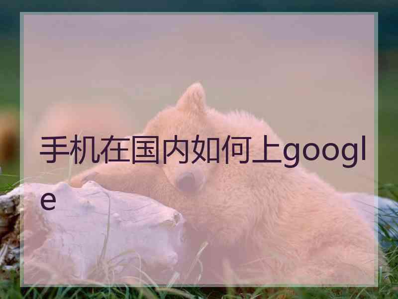 手机在国内如何上google