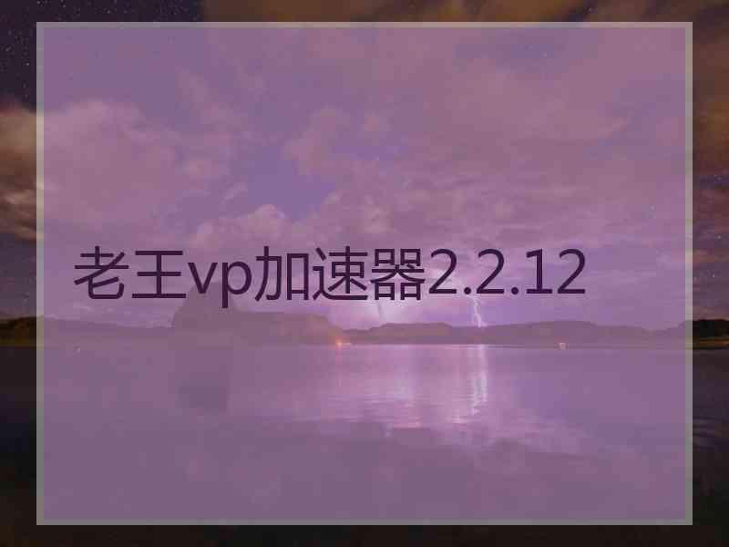 老王vp加速器2.2.12