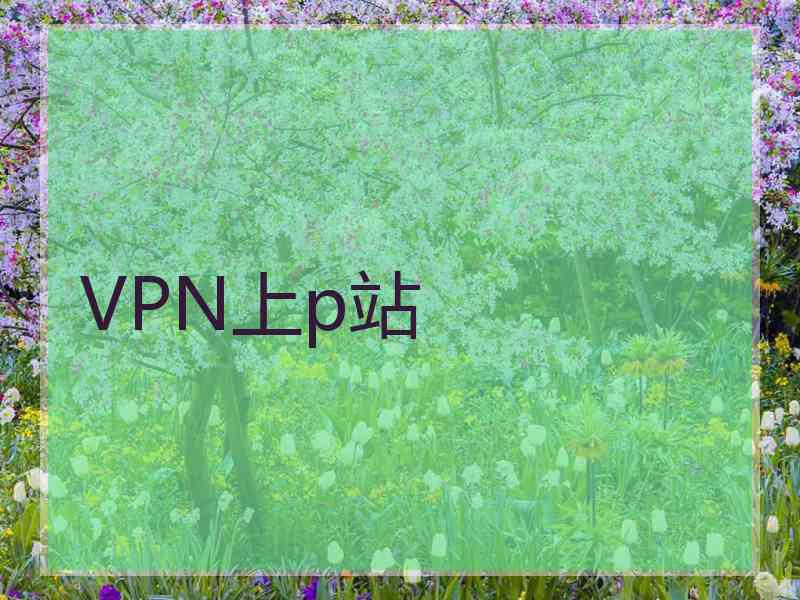 VPN上p站