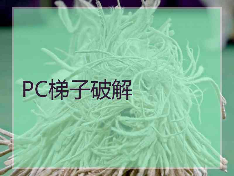 PC梯子破解