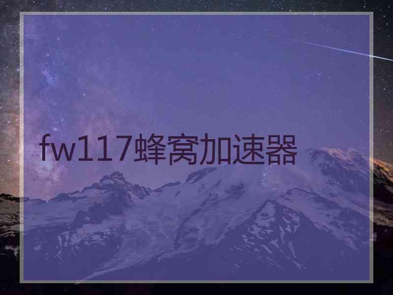 fw117蜂窝加速器