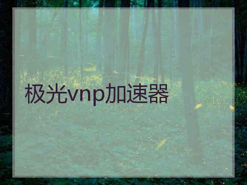 极光vnp加速器