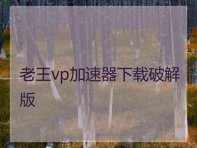 老王vp加速器下载破解版