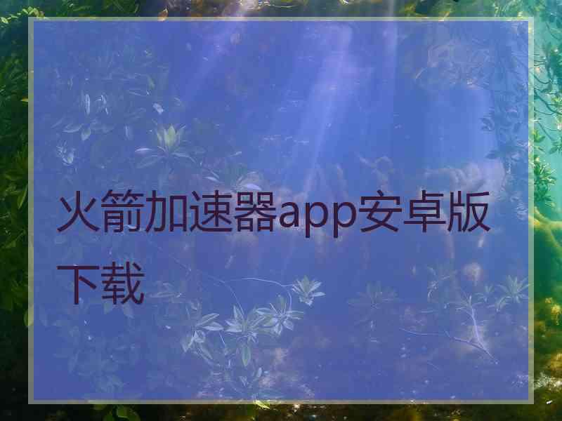 火箭加速器app安卓版下载