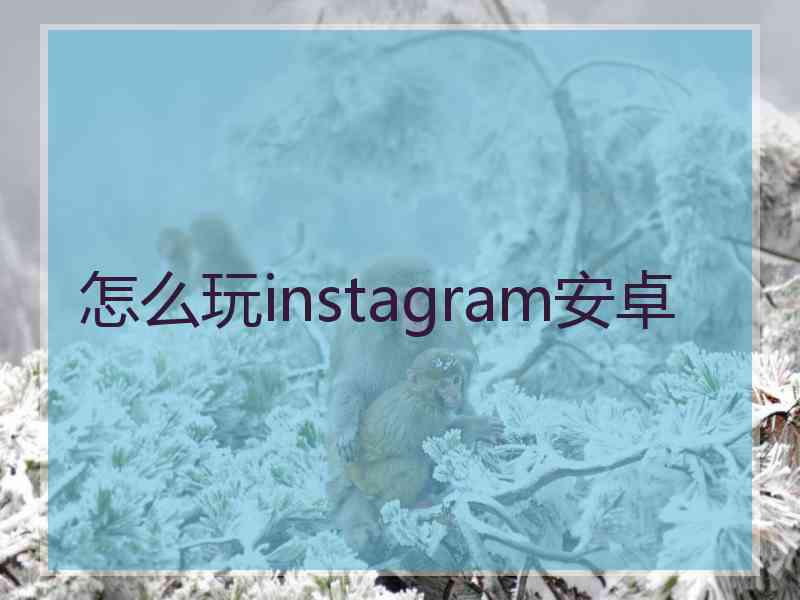 怎么玩instagram安卓