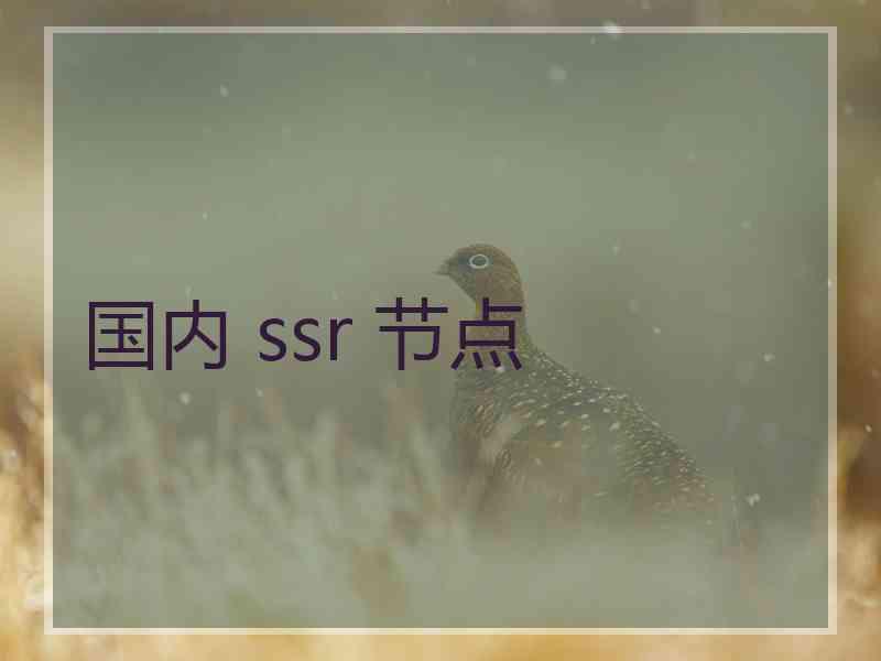 国内 ssr 节点