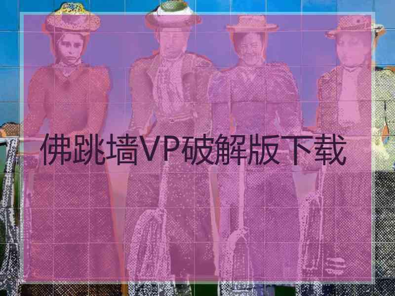 佛跳墙VP破解版下载