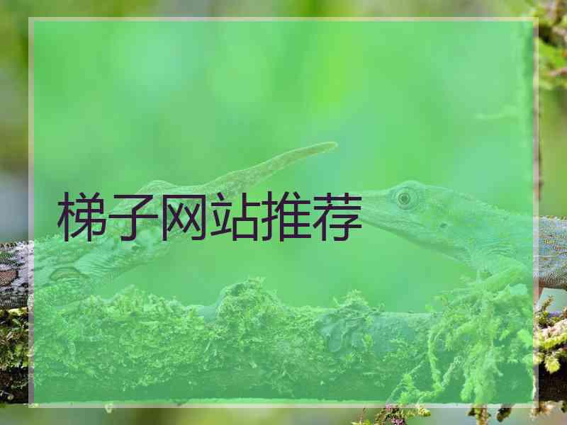 梯子网站推荐