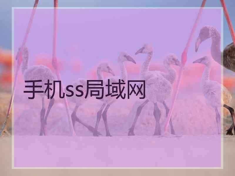 手机ss局域网