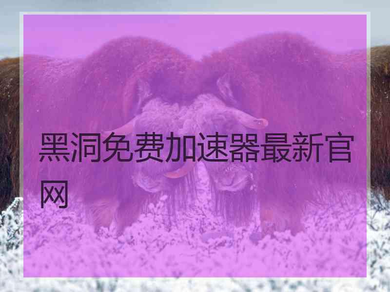 黑洞免费加速器最新官网