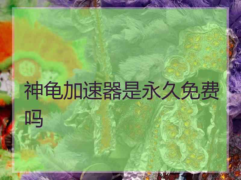 神龟加速器是永久免费吗