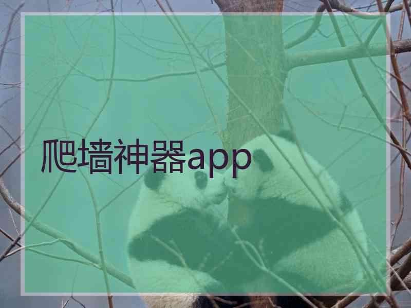 爬墙神器app