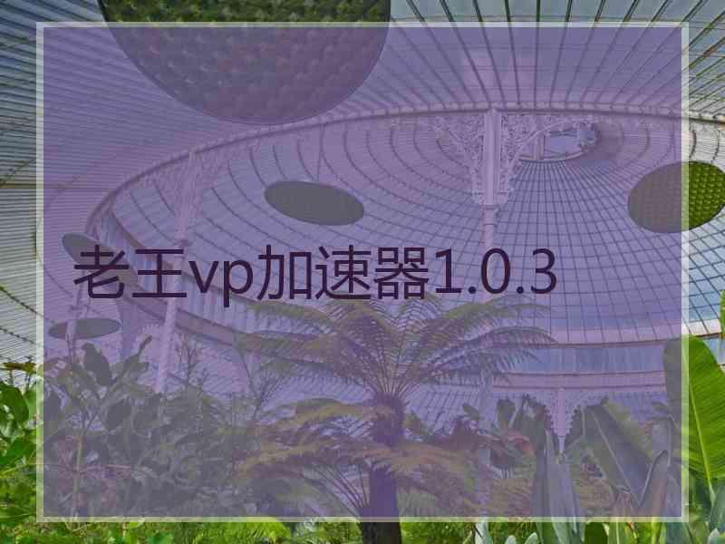 老王vp加速器1.0.3