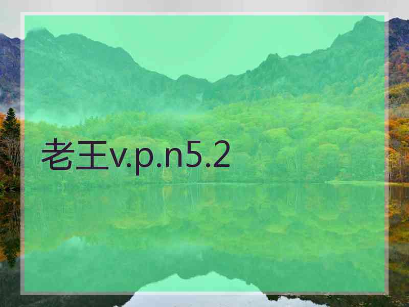 老王v.p.n5.2