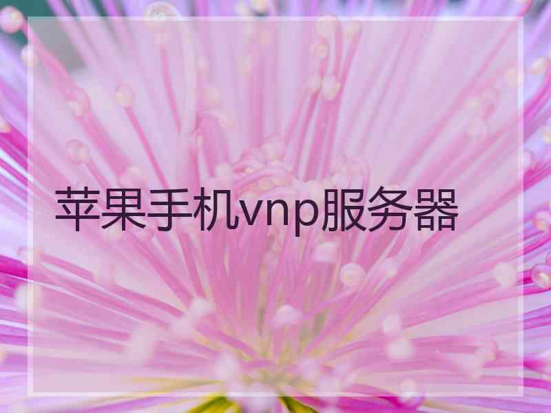 苹果手机vnp服务器