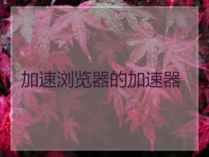 加速浏览器的加速器