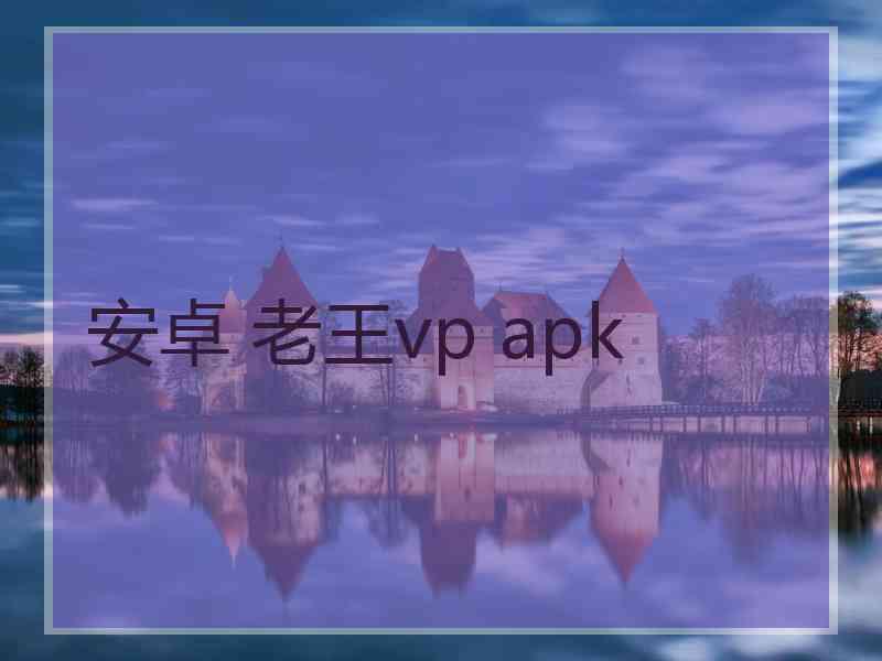 安卓 老王vp apk