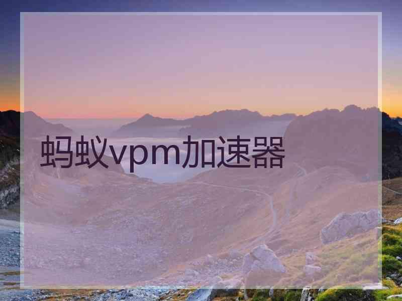 蚂蚁vpm加速器