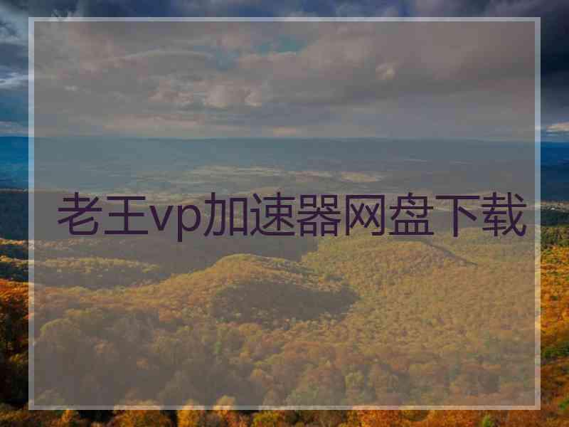 老王vp加速器网盘下载