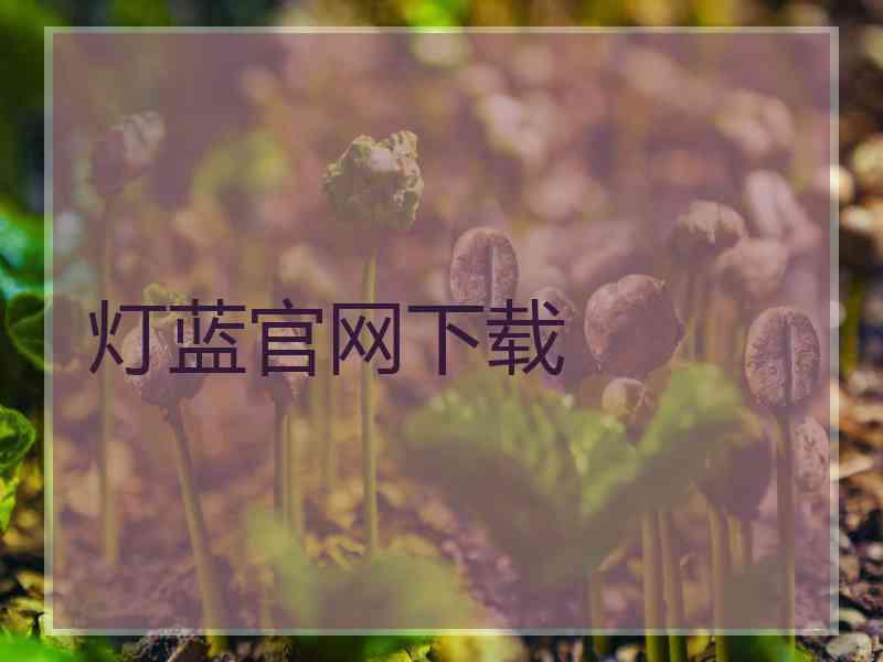 灯蓝官网下载