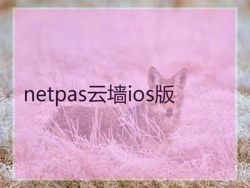 netpas云墙ios版