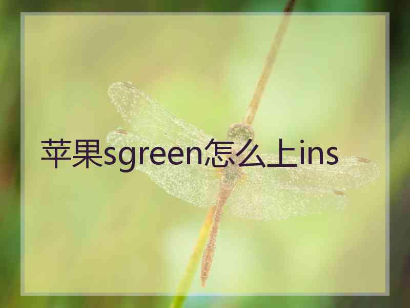 苹果sgreen怎么上ins