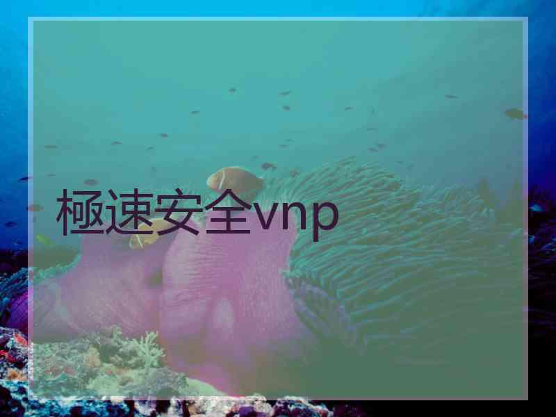 極速安全vnp