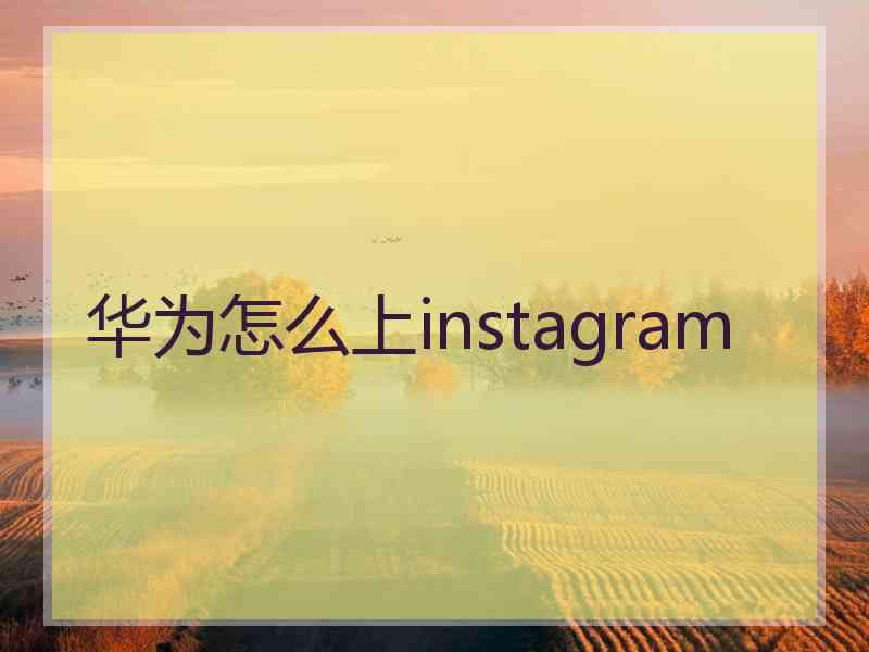 华为怎么上instagram