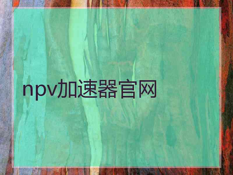 npv加速器官网