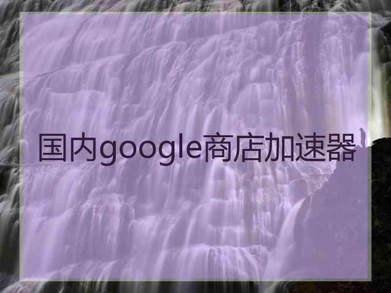 国内google商店加速器