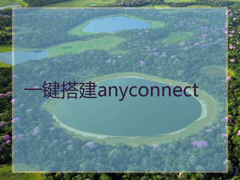 一键搭建anyconnect