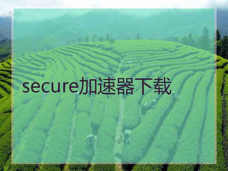 secure加速器下载