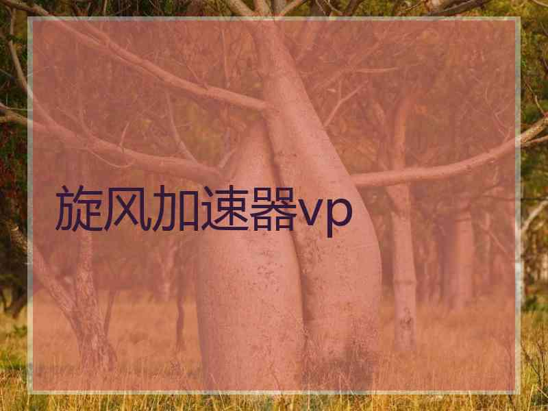 旋风加速器vp