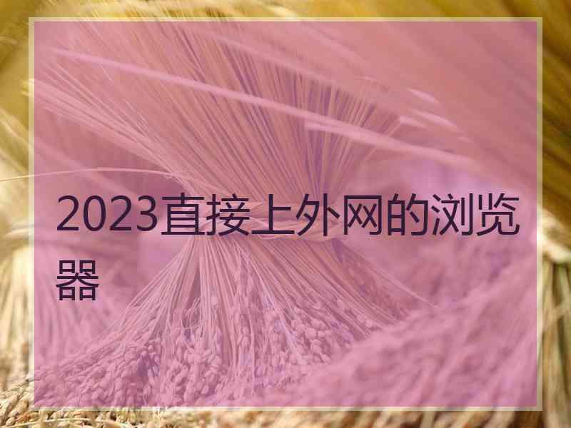 2023直接上外网的浏览器