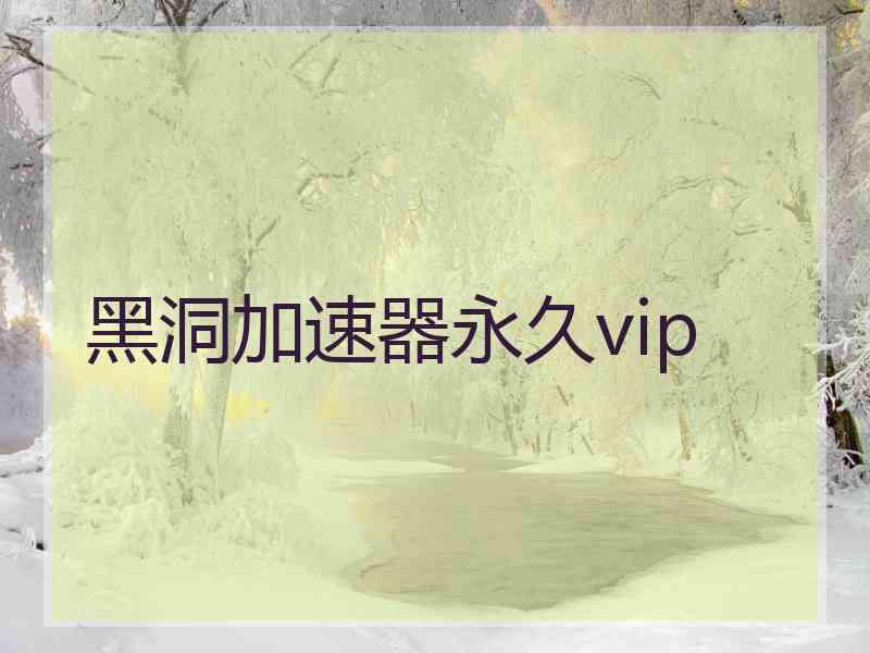 黑洞加速器永久vip