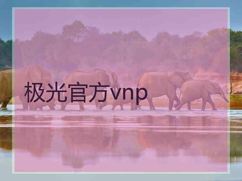 极光官方vnp