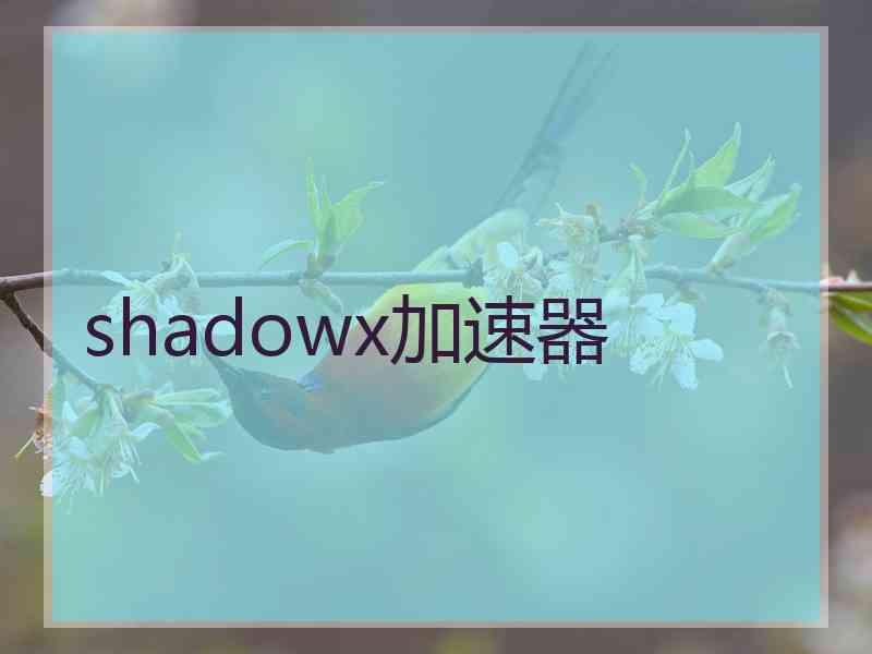 shadowx加速器